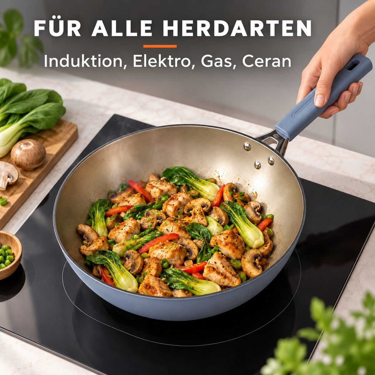 Le Maroki – Eisen Wok für Induktion, FÜR ALLE HERDARTEN: Induktion, Elektro, Gas, Ceran