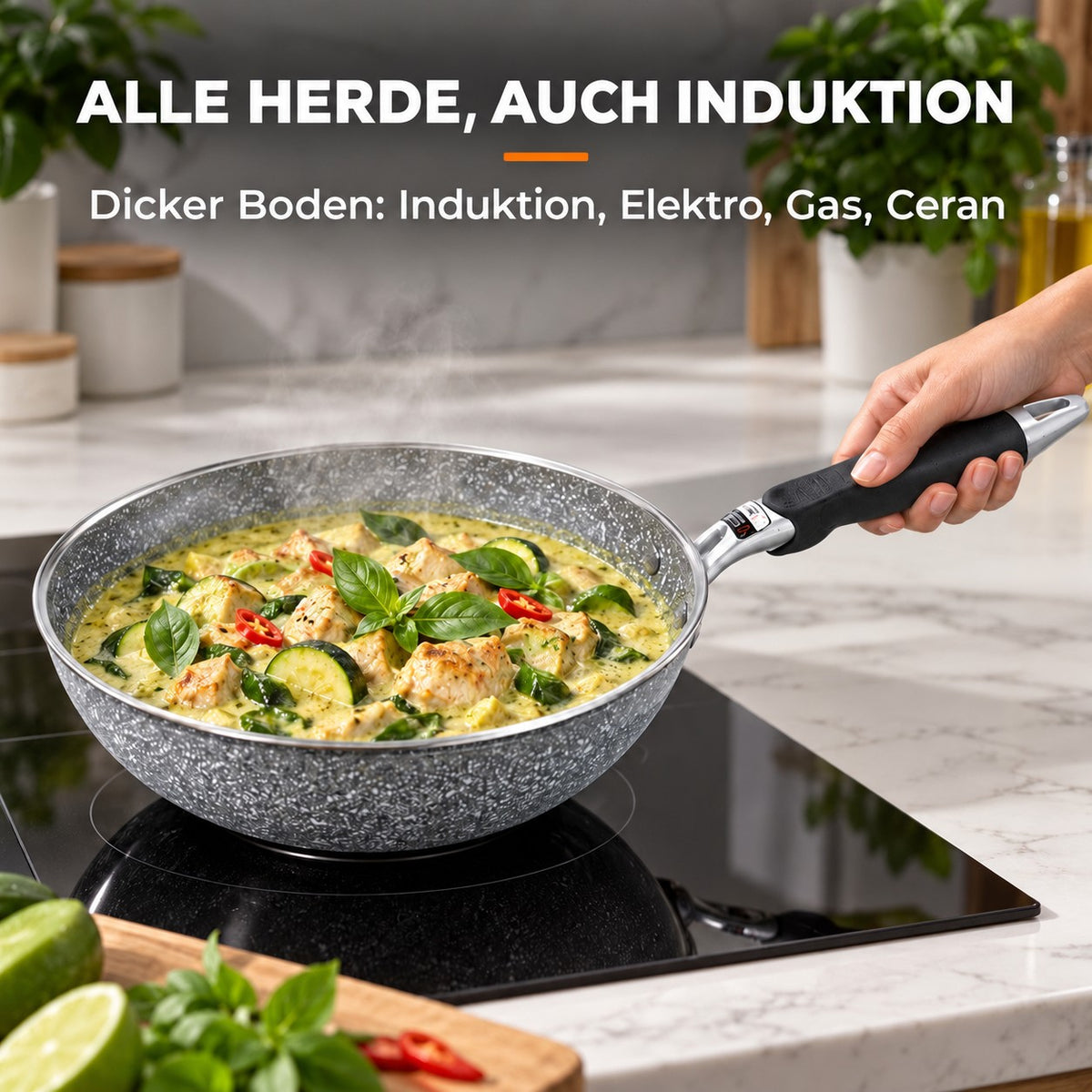 Le Hayachine – Granit Wok, ALLE HERDE, AUCH INDUKTION: Dicker Boden: Induktion, Elektro, Gas, Ceran