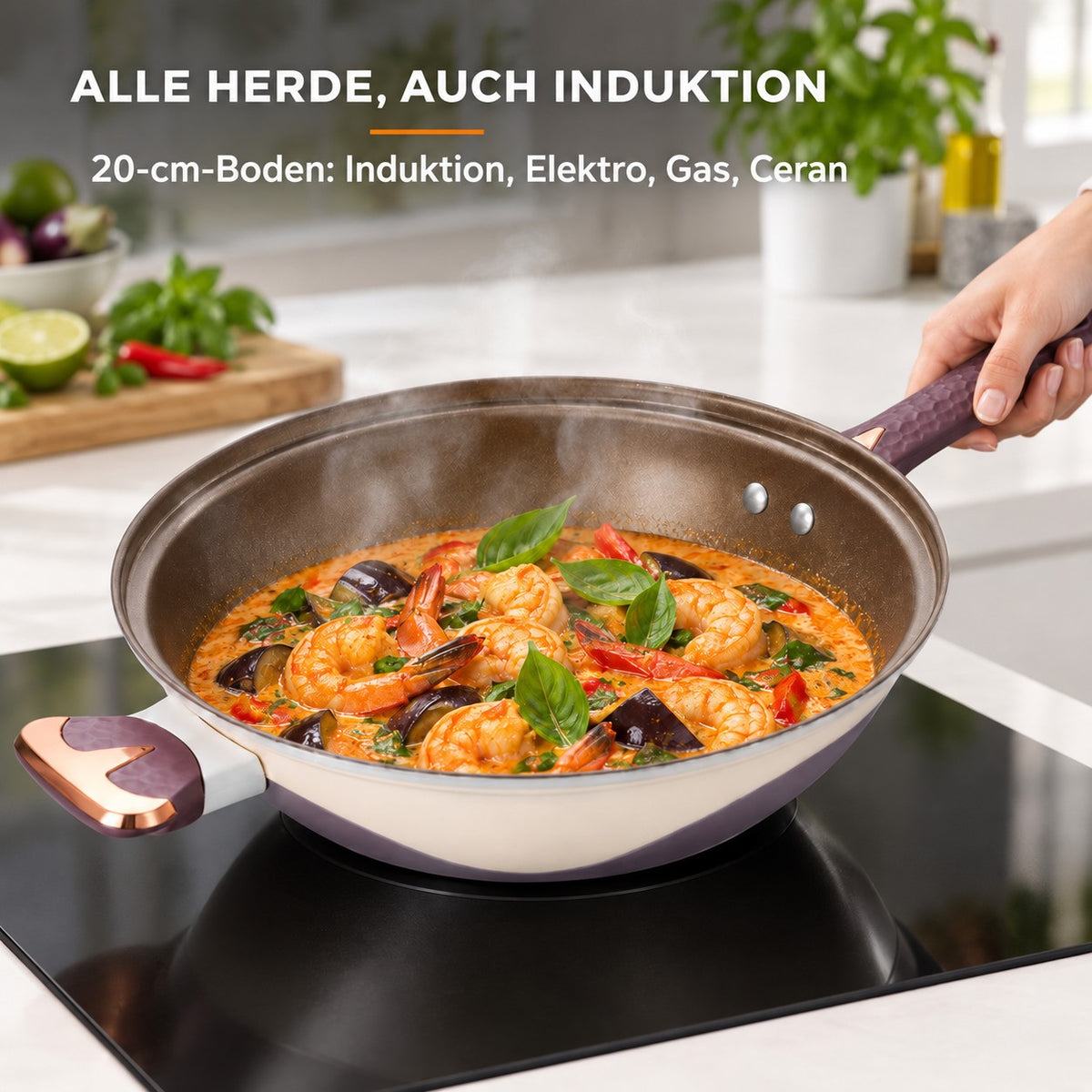 Le Hakusan – Wok Schmiedeeisen, ALLE HERDE, AUCH INDUKTION: 20-cm-Boden: Induktion, Elektro, Gas, Ceran
